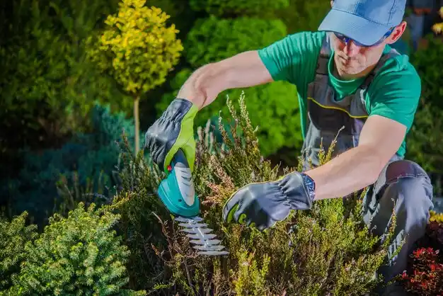 landscaping services Hooper
